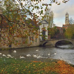 Autumn in Bruges.
