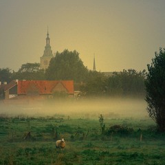 Foggy morning in Diksmuide.
