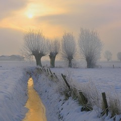 A wintermorning in Belgium.