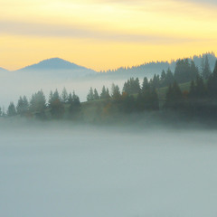 островок в тумане