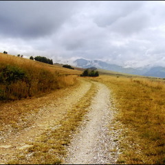 Дорога на горные пастбища