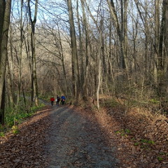 Тихе осіння полювання