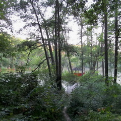 На Шелиховском озере