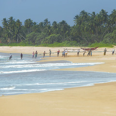 Шри Ланка 1