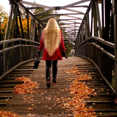 мост в осень