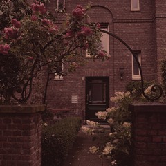 ввечері, під трояндами біля будинку номер два ...