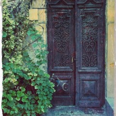 Двери  старого дома