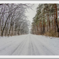 Зимняя дорога...