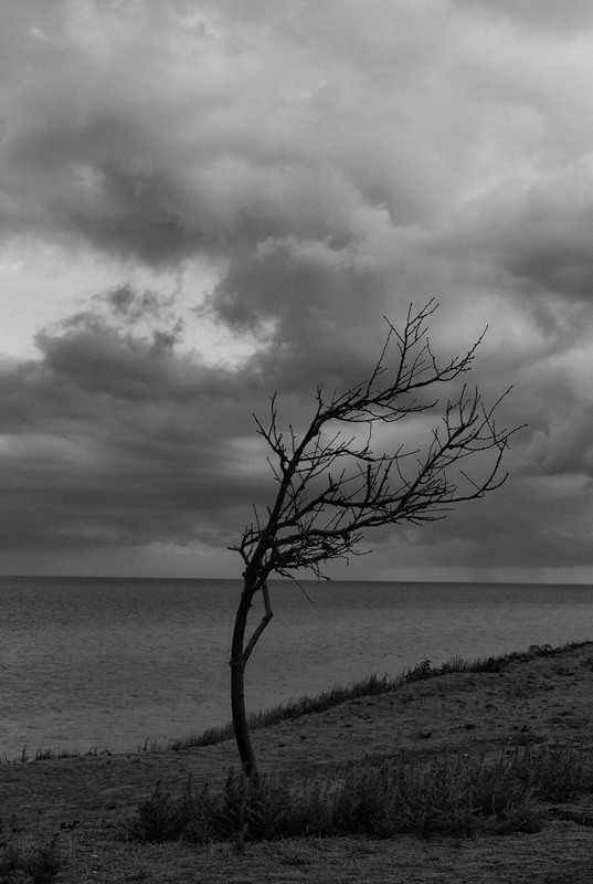 Здесь ветер. Пейзаж борьба стихий. Юрий ветров фотограф. Лихой ветер.