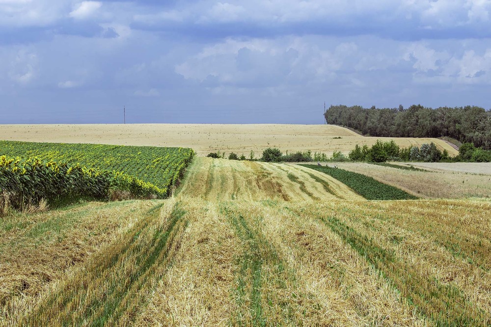 стабилизация в полях пустоты