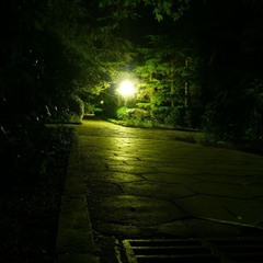 Ночью в летнем парке