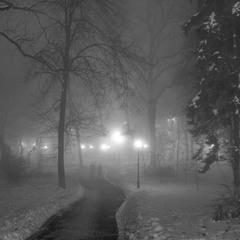 Туман окутал сонный город