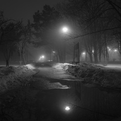 В туманной тишине