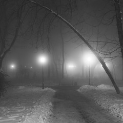 Туманный парк в январской тишине