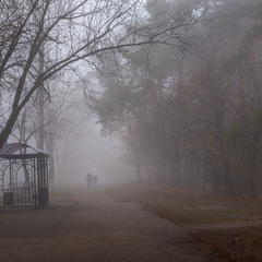 Утопая в ноябрьском тумане