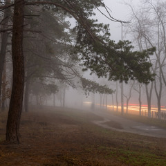 Просыпается город в молочном тумане