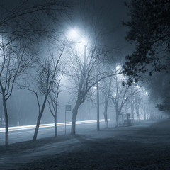 И город окутан туманом ночным