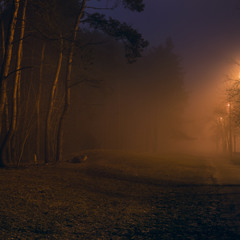 Туман окутал сонный город, укрывши пледом старый лес