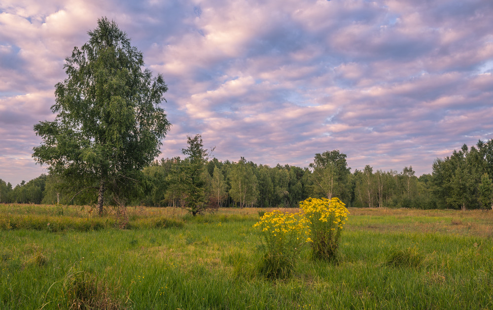 Фото кончается лето