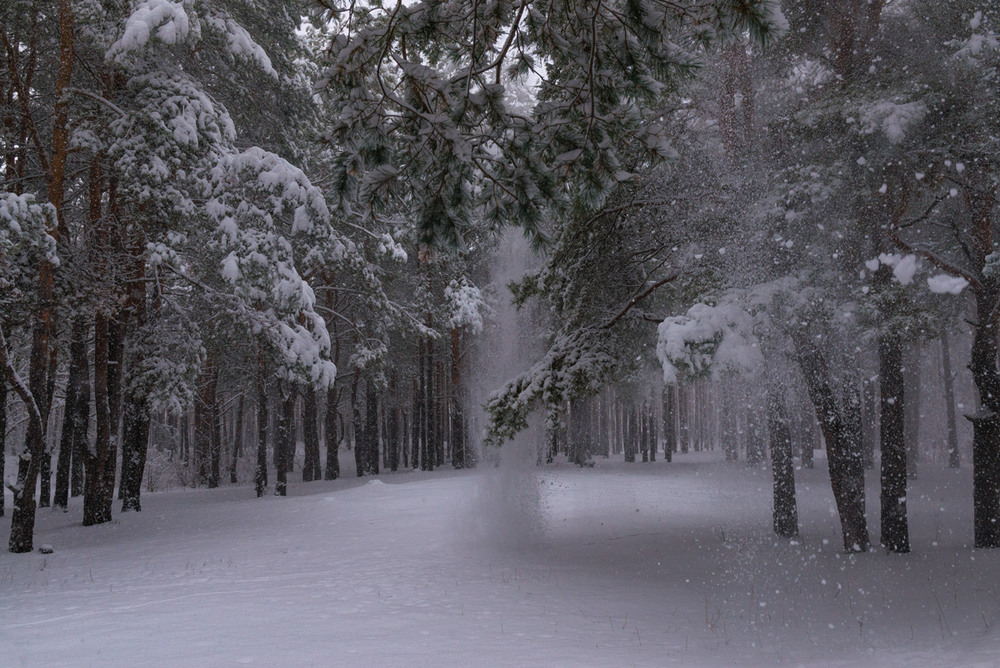 Найти снег падает. Снегопад. Падающий снег. Снегопад картинки. Идет снегопад в лесу.