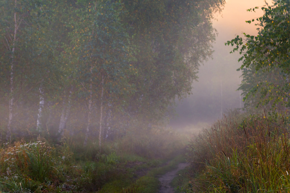 Тургенева "утро туманное, утро седое. Пейзаж утро туман. Утро на озере. Обои на рабочий стол туман. Иллюстрация к романсу утро туманное.
