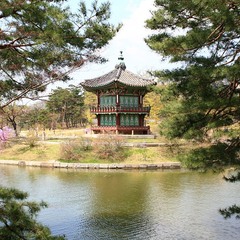 Сеул. Палац Кьонбок