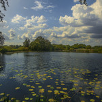 Білі хмарки не прилетіли, але й не приповзли - прийшли собі потихесеньку на річку Старий Солотвин.