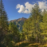 У лісі ой у темному, де ходить хитрий лис, в тіньочку - дооообре, - прохолодно і затишно.