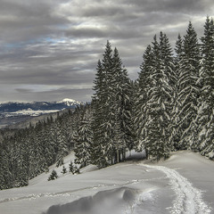 Вечір опускається, стежка лежить і біжить: або вниз - до людей, або вгору - до вершин.