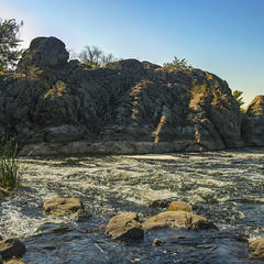 Урочище Протич на річці Бог вранці наприкінці липня.