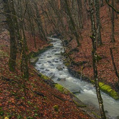 Піж зимою й весною протікає річка-невеличка посеред мокрого снігу, минулорічного листя і каміння.