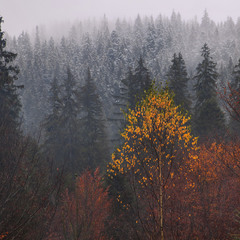 Йде дощ,  падає сніг,  осипається листя -  на осінь і зиму.