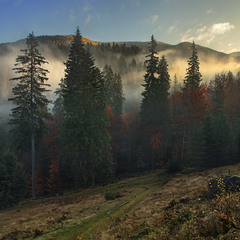 Дорога до світла, туманів - із світанкових сутінків лежить.
