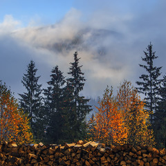Вранішня ОСОБЛИВА світлина, - з хмарами, туманом і жовтим осінням листям.