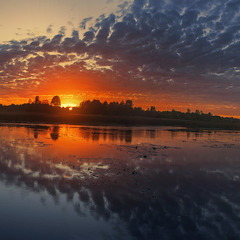 Вітер віє, вітер віє, серце плаче, серце мліє.