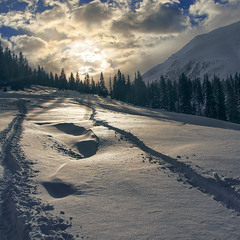 Шлях до світла і знань лежить ліворуч, а праворуч - лише шлях знань (на лижах спиною до сонця).
