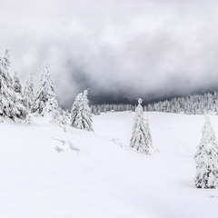 Панорама життя - під білими хмарАми, над білими снігАми, в білих тумАнах.