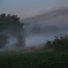Фокус-покус в кінці горОду рано вранці. Туман.