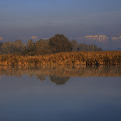 Ранковий туман з озера повзе на Київ.