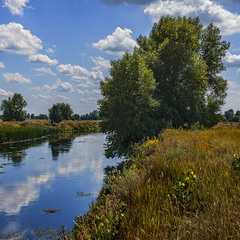 Київщина в липні.