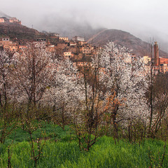 Весна цвіте в селі Імліль. А вище - хмари висять.