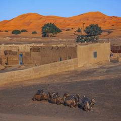 У полях край села млосний прозорий вечір дарує наочний сімультанний контраст між небом і дюнами.