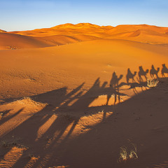 Та й поїдем, та й пої-ї-ї-ї...