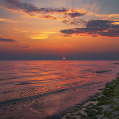 В гонитві за маленькою червоною кулькою минається все життя усяких істот і сутностей на землі.