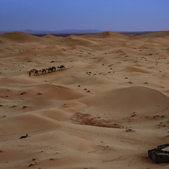 Рано вранці на світанні готуються вирушати в піски верблюди (і люди).