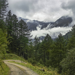 Поміж хмарАми лине пісня ця. В дощик дрібненький.