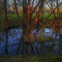 Весна таки ще десь є. Це-о - річка з назвою Рівчак.