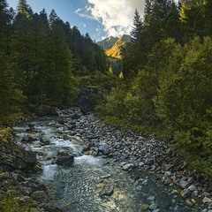 Тече річка невеличка з вишневого са-а-ду проти ночі.