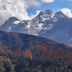 - Осінь прийшла, і схили гір запломеніли листям чорниці й брусниці, хоча й випав сніг. - Буваа-аає.