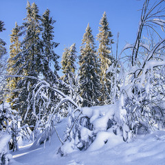 З особливою приємністю  білий сніг згадується  коли пручаєшся в чорній багнюці.